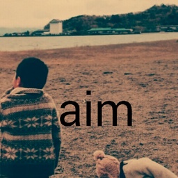 aim