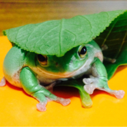 keroちゃん