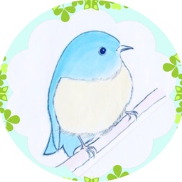 tomtit
