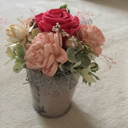 スモークブッシュ