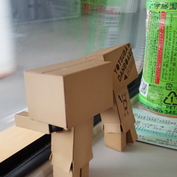 かぼちゃ