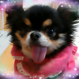 kaon*☆