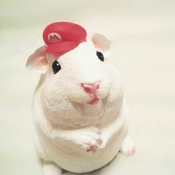 もるこけ