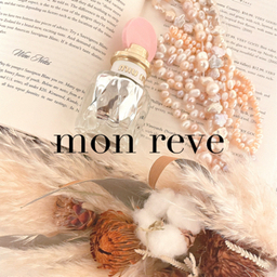 mon reve
