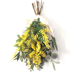 gypso_flower