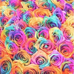 maries.luna