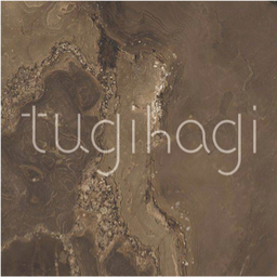tugihagi