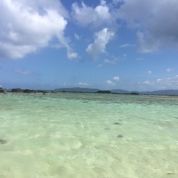 nagu3