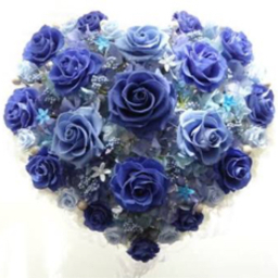 ＊rosette＊