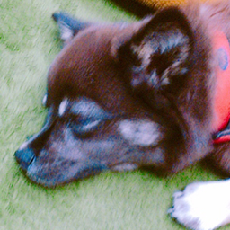 sazaki
