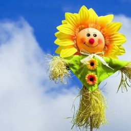 SUN*ˊᵕˋ*