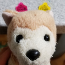 Mooo19
