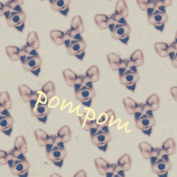 06-pompom-20