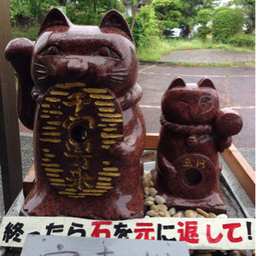 taka251031