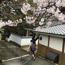 musyako