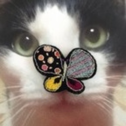brucaliffo