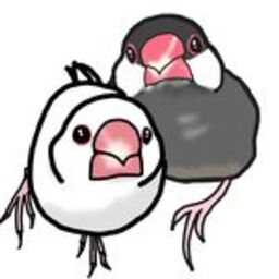 ichikoyu