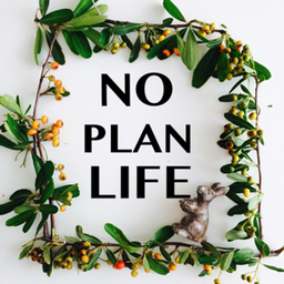 no plan life