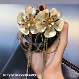 only one accessory