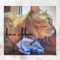 koru ribbon　こるーりぼん　　