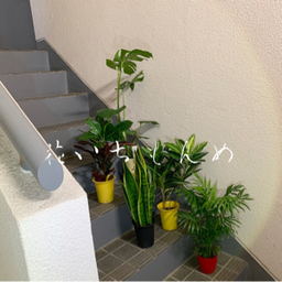 花いちもんめ