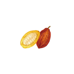 chocotine