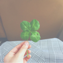 なごまま工房🍀