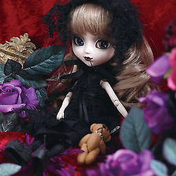 risaso-1216