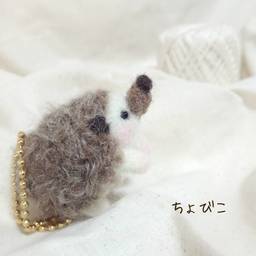 ちょびハリ