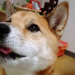 suzu-no-hana