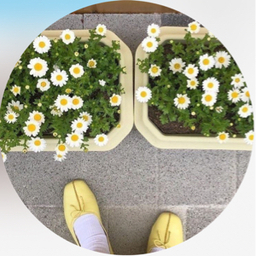 ぽに