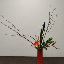hanatoyuki
