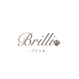 brillio-01