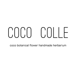 coco-colle
