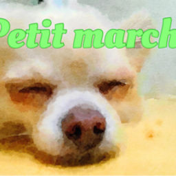 petitmarche studio
