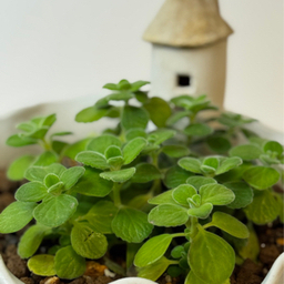 tomochiハンドメイド