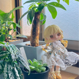 詩ずき