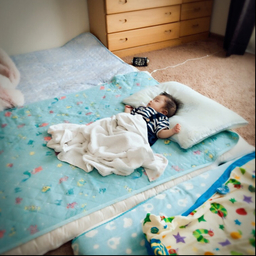 ぷぅちゃん