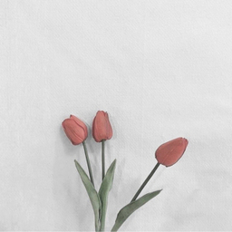 --MA_A--