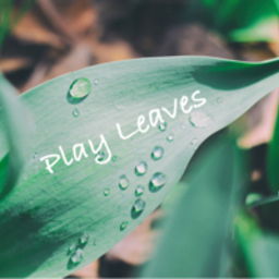 Play  Leaves 