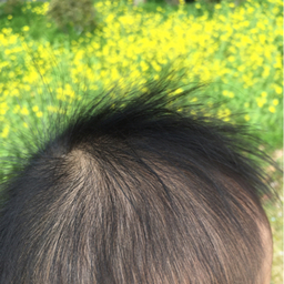 fuyu1231