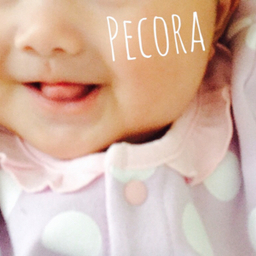 PECORA 