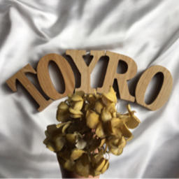 TOYRO accessory