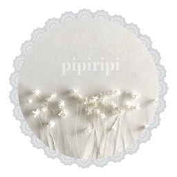 pipiripi❁﻿