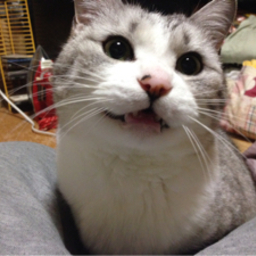 のぃ