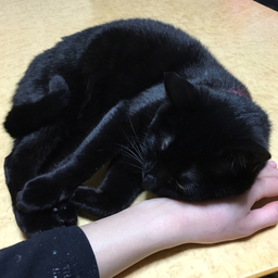 ithukirin