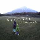 elephant-c