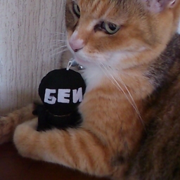 БЕИ