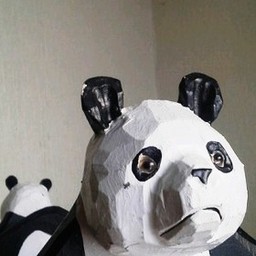 pandanosu5