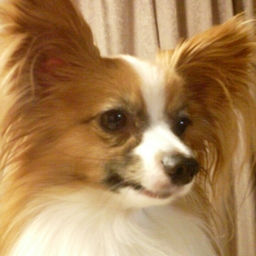 リュウままの手しごと